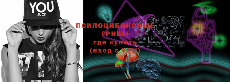 гидра ссылки  продажа наркотиков  Калач-на-Дону  Псилоцибиновые грибы MAGIC MUSHROOMS 